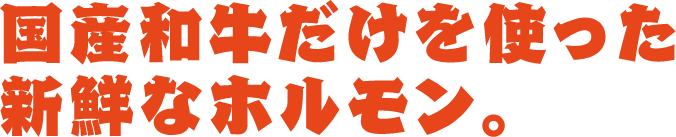 国産和牛だけを使った新鮮なホルモン。